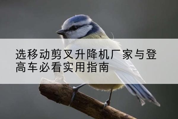普洱电动升降机厂家-选移动剪叉升降机厂家与登高车必看实用指南