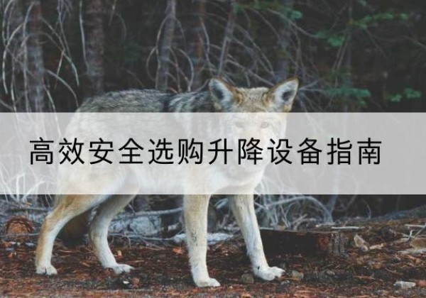 普洱升降货梯厂家推荐-*安全选购升降设备指南