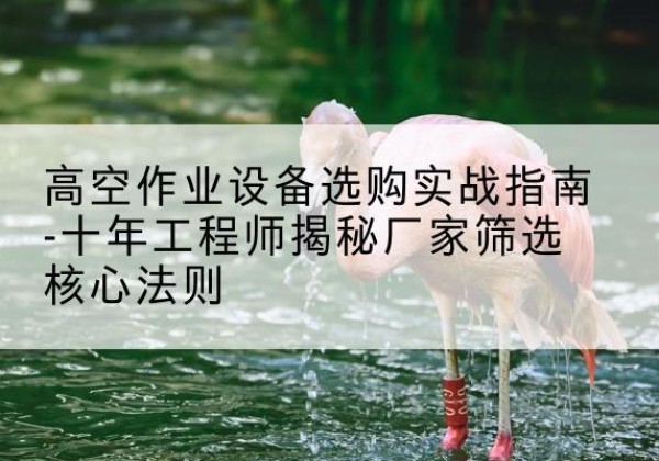 普洱剪叉式升降机厂家-高空作业设备选购实战指南-十年工程师揭秘厂家筛选核心法则